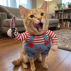 Hocus Pawcus — Spooky Doll Pet Costume